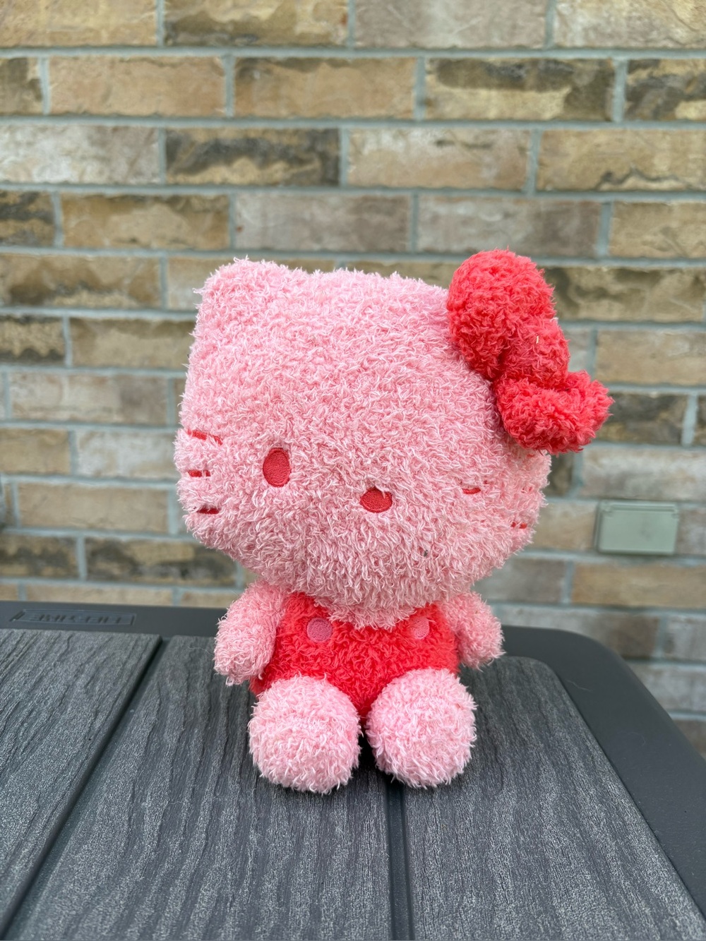 2/$16 Hello Kitty&Friends W2 Soft Velveteen-Hello Kitty - Tush tag cut off